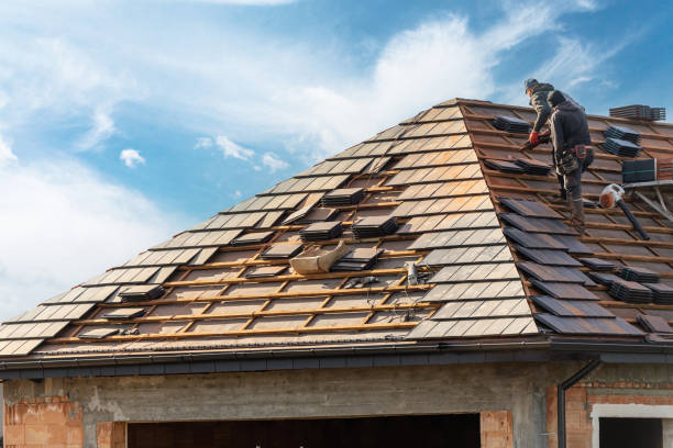Best Roof Moss and Algae Removal  in Edwards, CO
